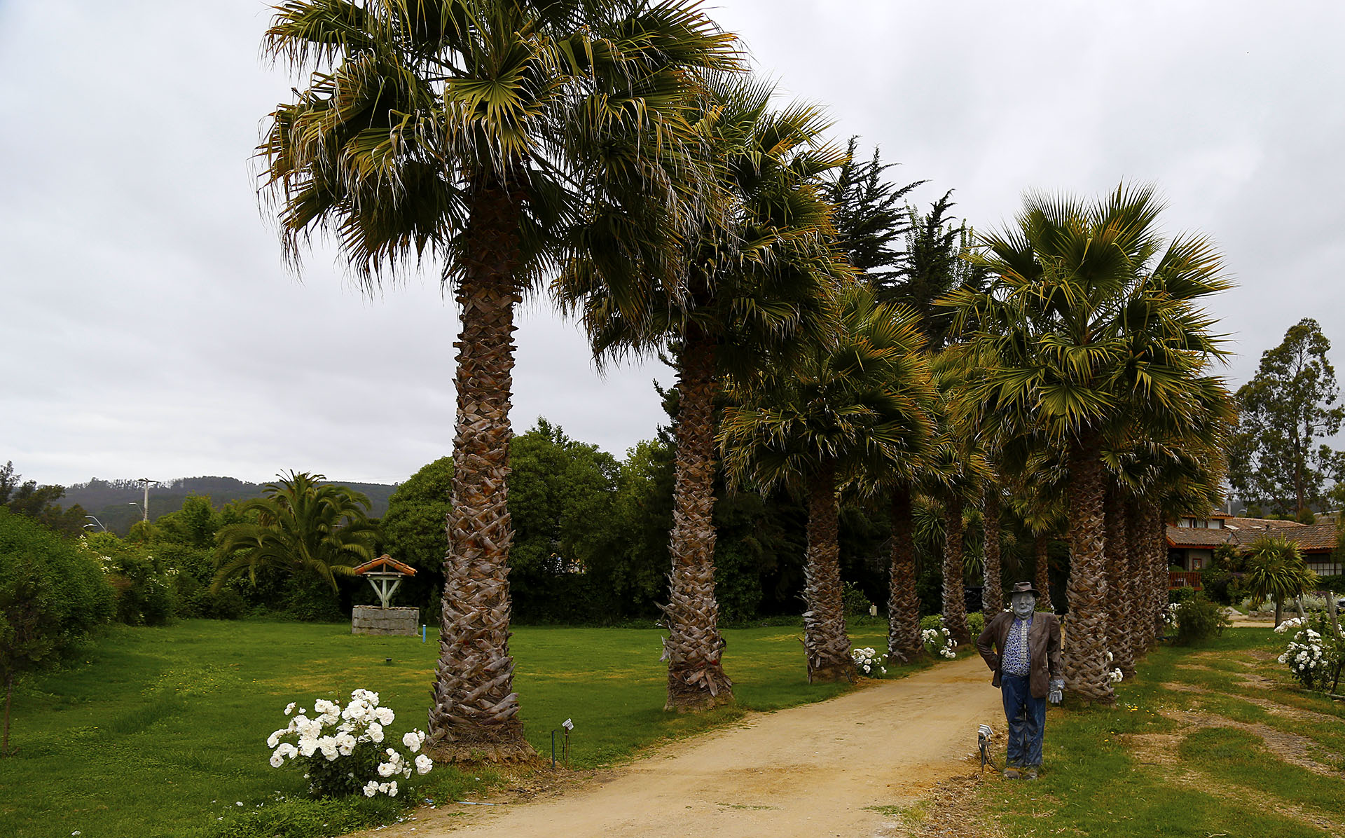 Palmeras y jardines de Casa Marín