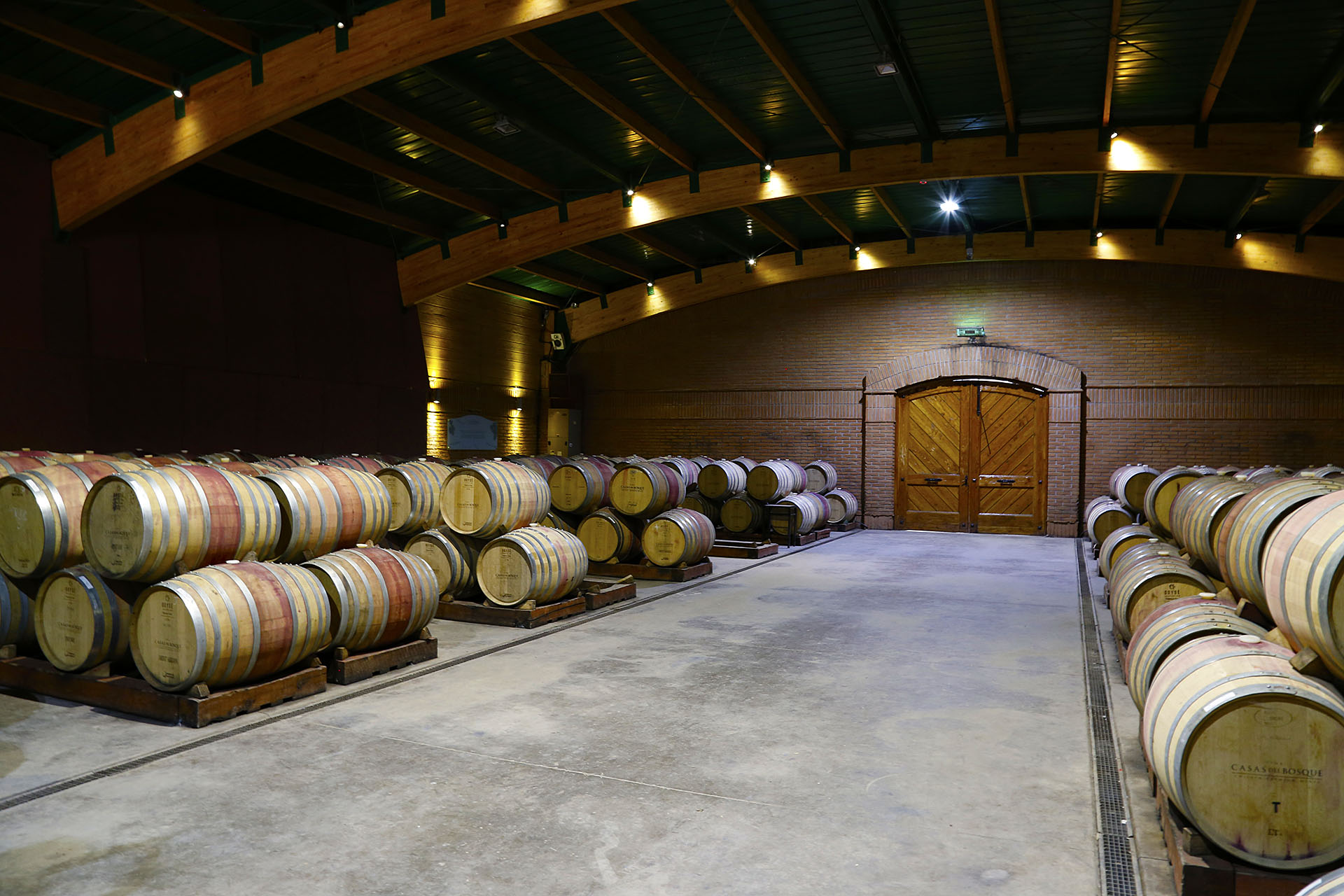 Sala de barricas de Casas del Bosque