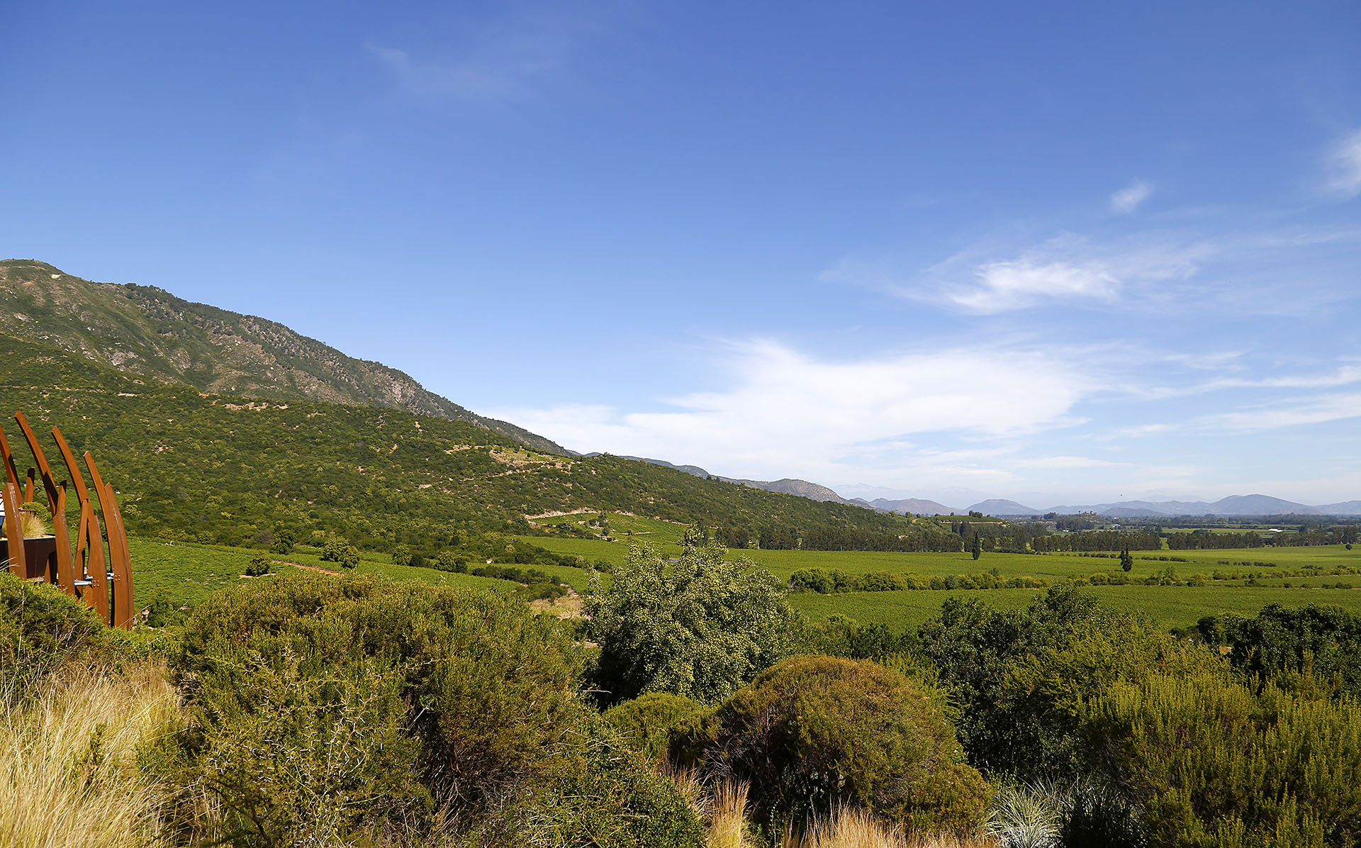 Viñedos en el sector de Apalta